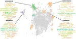 Leveraging natural language processing to curate the tmCAT, tmPHOTO, tmBIO, and tmSCO datasets of functional transition metal complexes