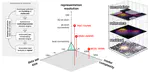 Making machine learning a useful tool in the accelerated discovery of transition metal complexes