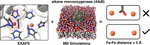 No Bridge between Us: EXAFS and Computations Confirm Two Distant Iron Ions Comprise the Active Site of Alkane Monooxygenase (AlkB)